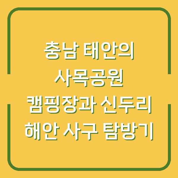 충남 태안의 사목공원 캠핑장과 신두리 해안 사구 탐방기