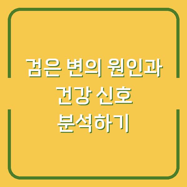 검은 변의 원인과 건강 신호 분석하기