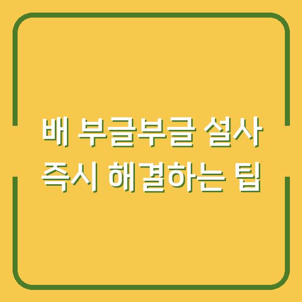 배 부글부글 설사 즉시 해결하는 팁