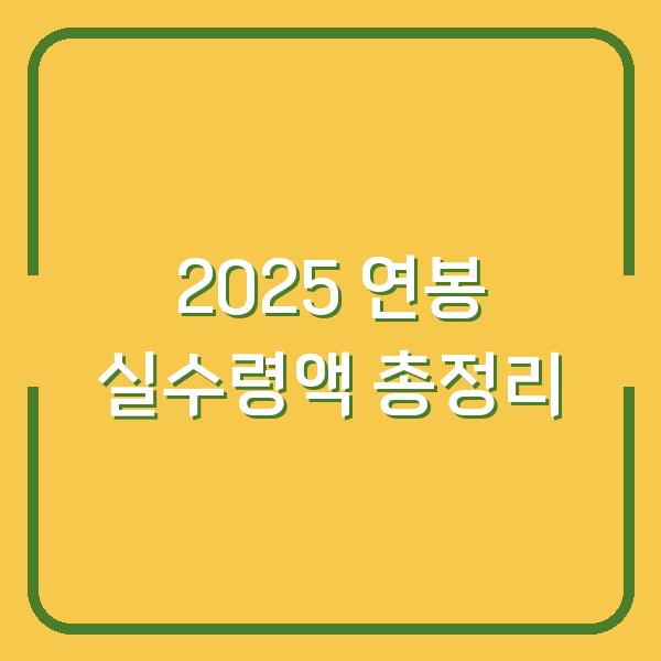 2025 연봉 실수령액 총정리