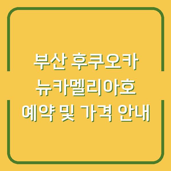 부산 후쿠오카 뉴카멜리아호 예약 및 가격 안내