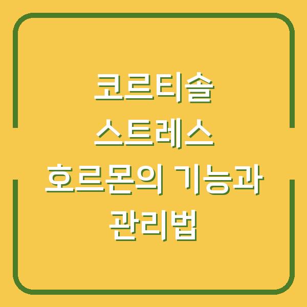 코르티솔 스트레스 호르몬의 기능과 관리법