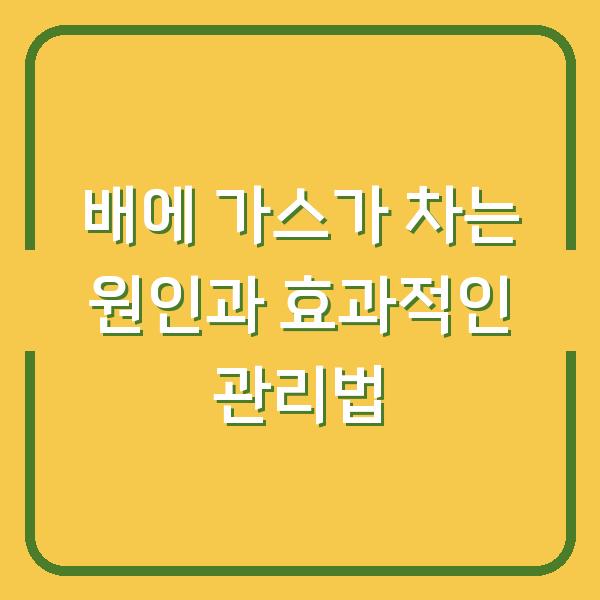 배에 가스가 차는 원인과 효과적인 관리법