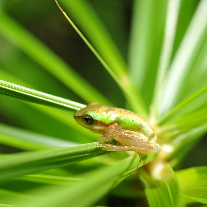 상체 근력 운동