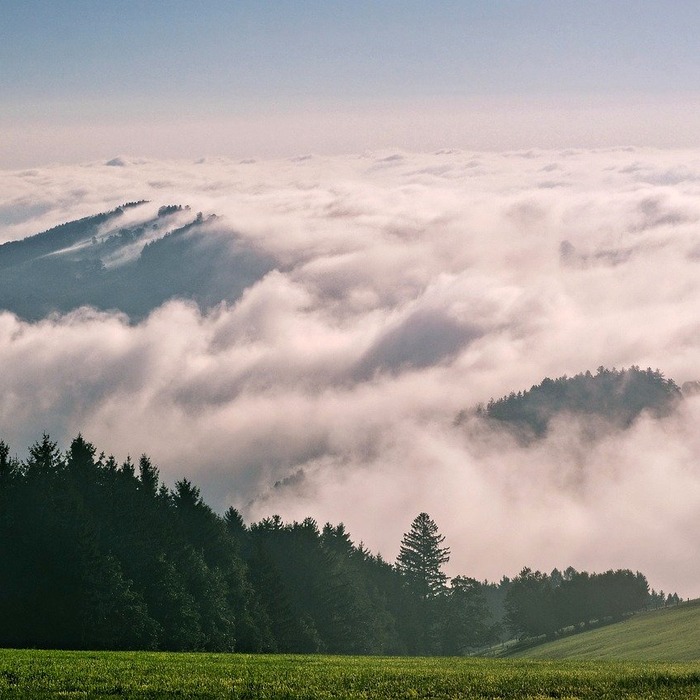 바다 전망 좌석