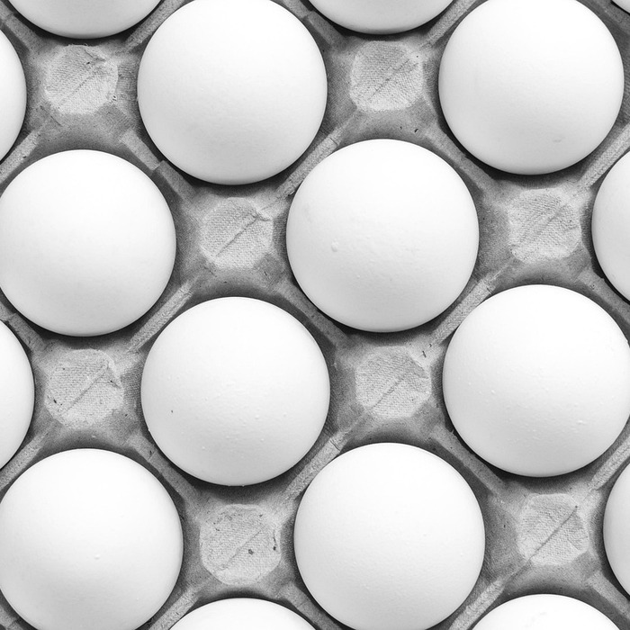 닭고기 영양 성분