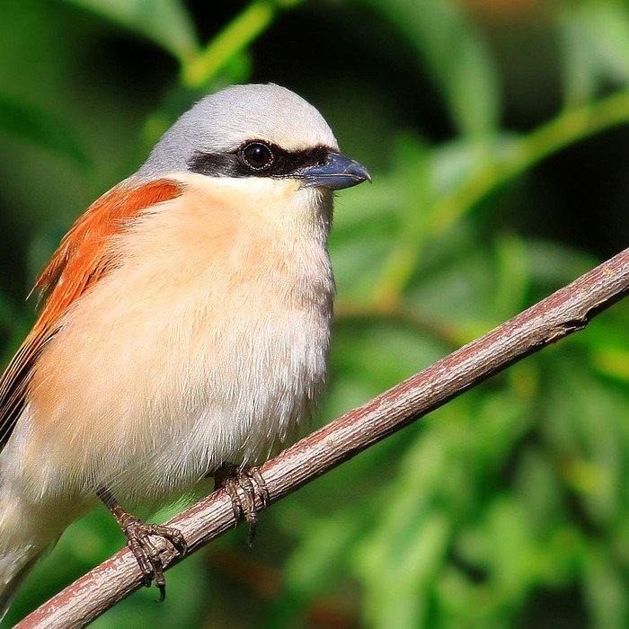 파일 백업 방법