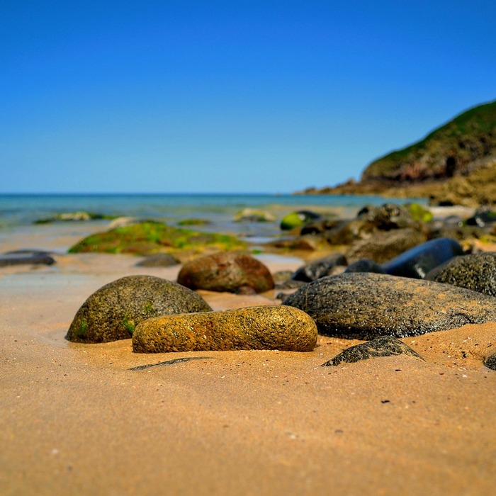 꿈의 배경 분석