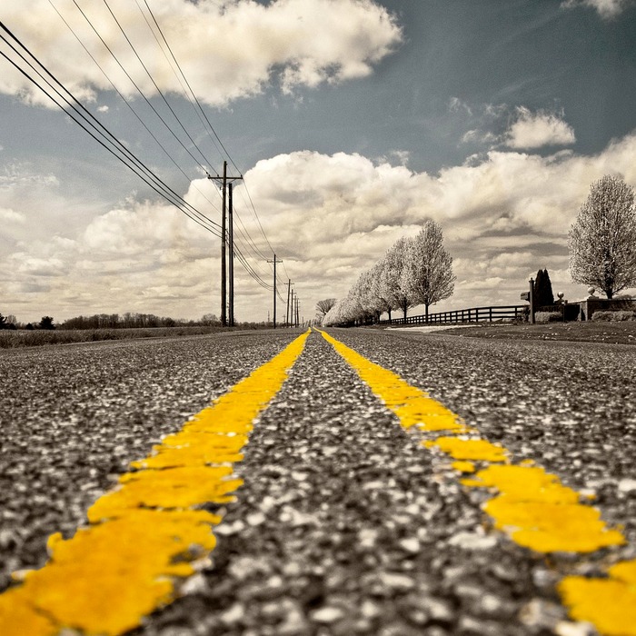 음식 주문 방법