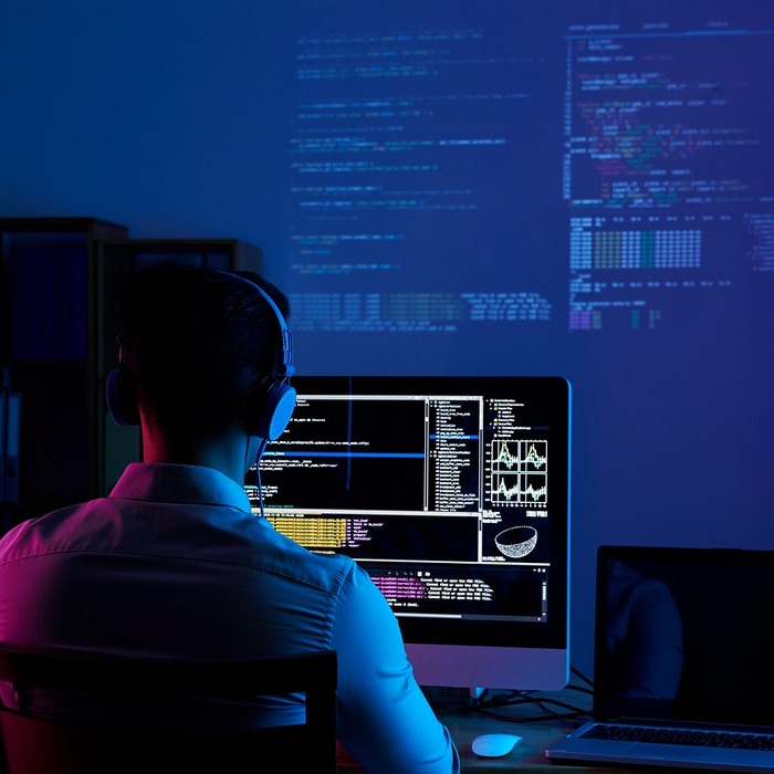 소프트웨어 오류