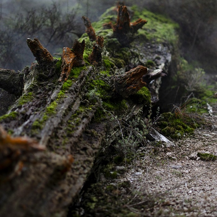 자동 로그인 필요성