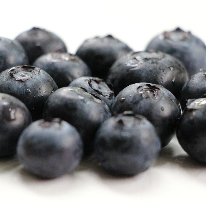 블루베리 항산화