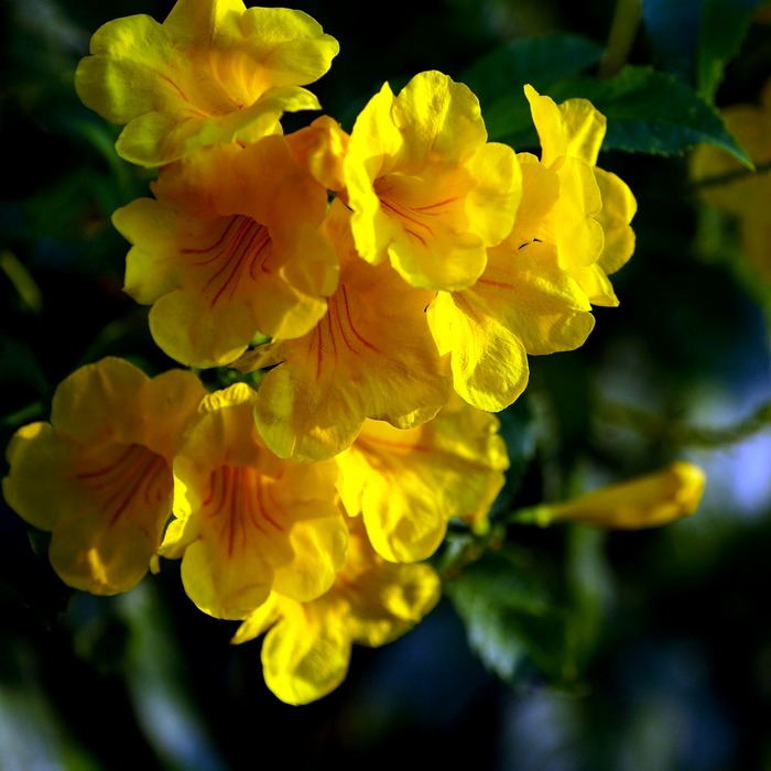 리시브 자세와 스탠스