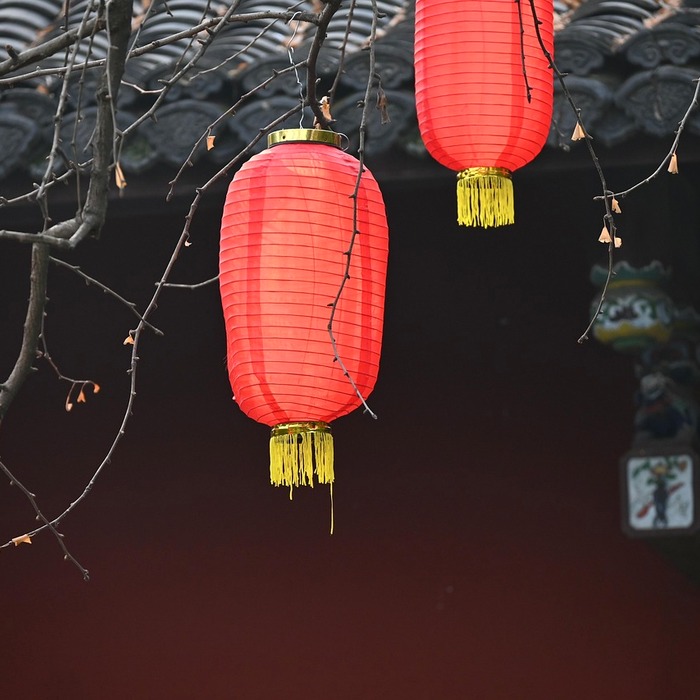 대광초 인사 동향