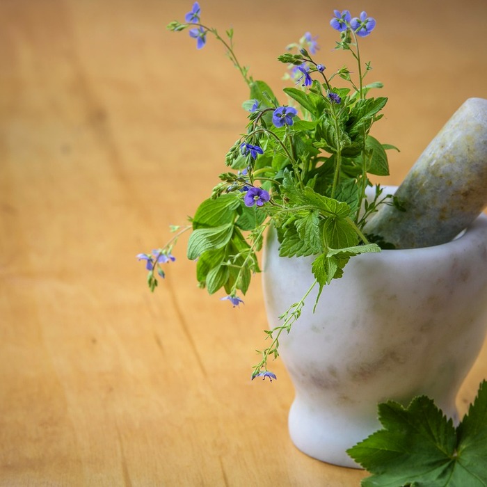 자가사용 의약품