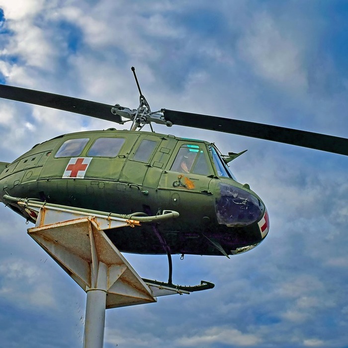 송이버섯 먼지 제거