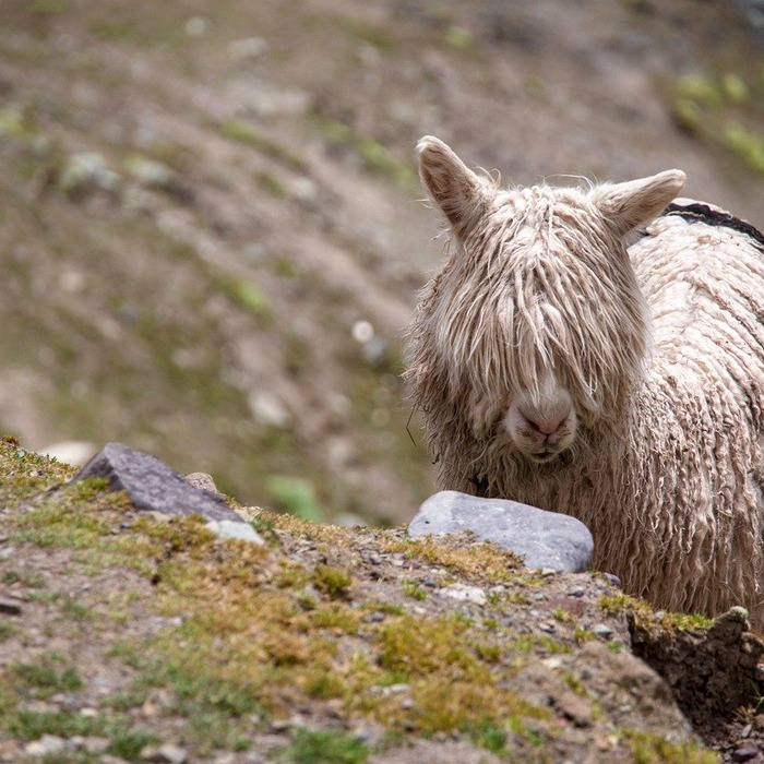 소백산 자연 경관