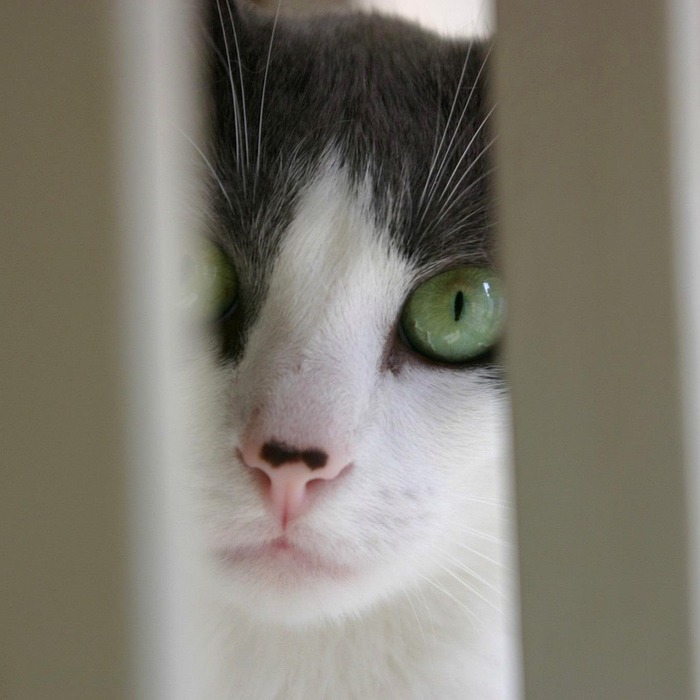 간호직 공무원 직무