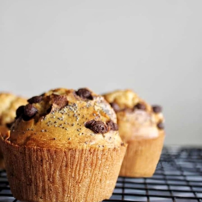 균형 잡힌 영양