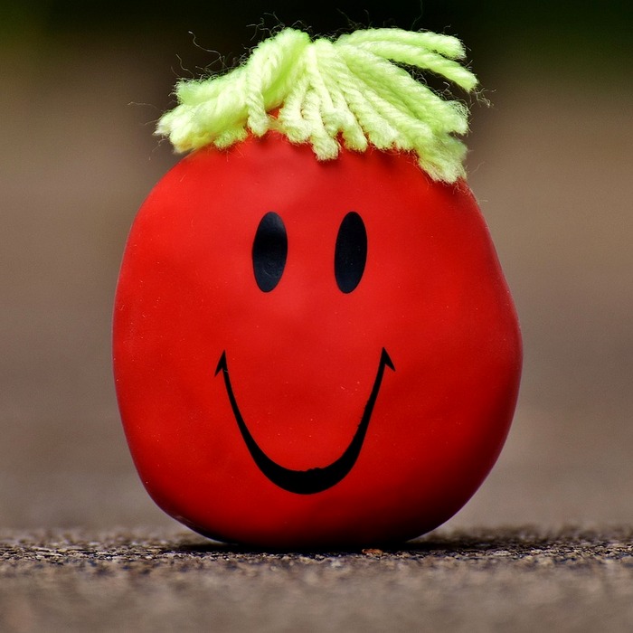 스트레스 감소 효과