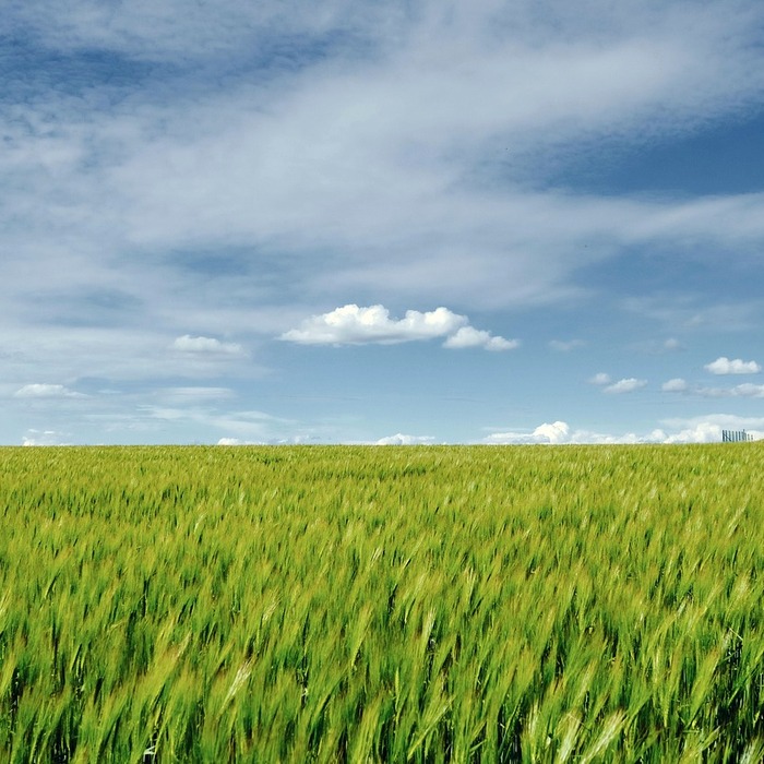 성별 소득 차이