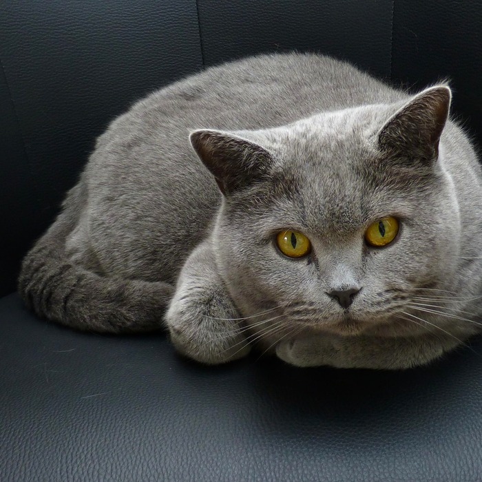 교통민원24 홈페이지