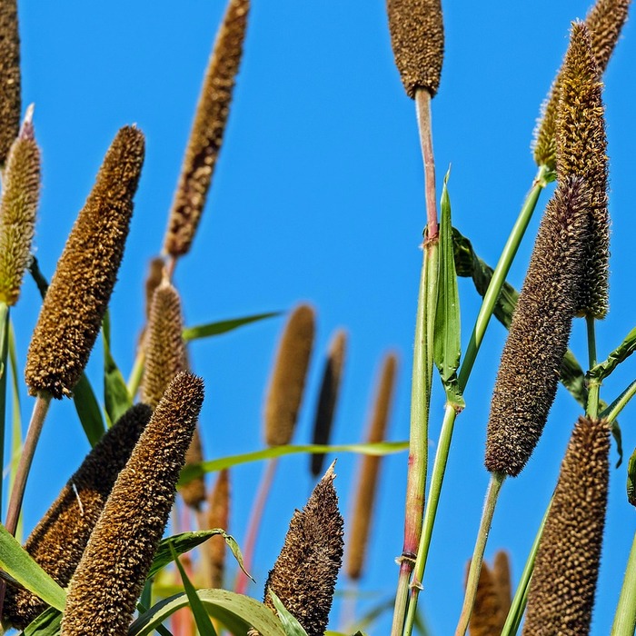 기장 신세계아울렛