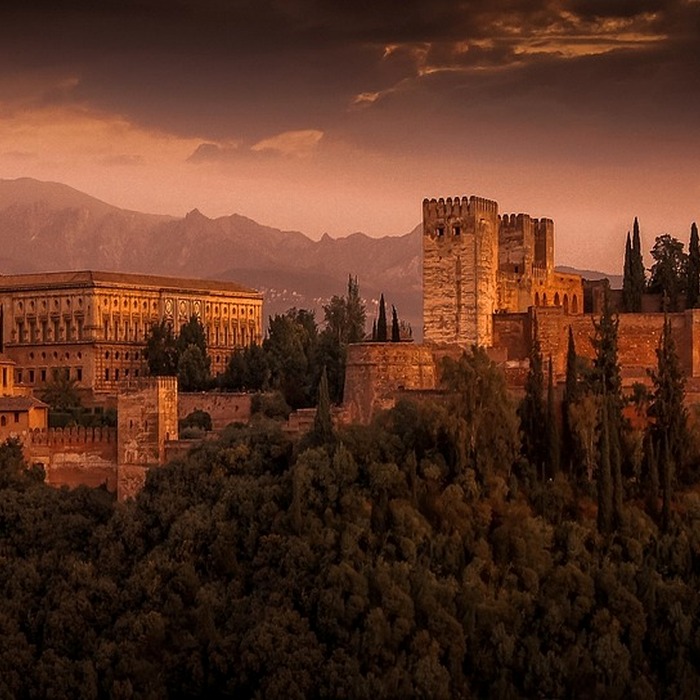 면역력 강화 효과