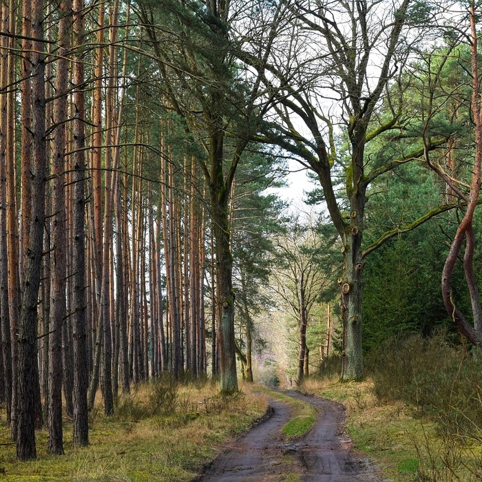 폐암 검사 방법