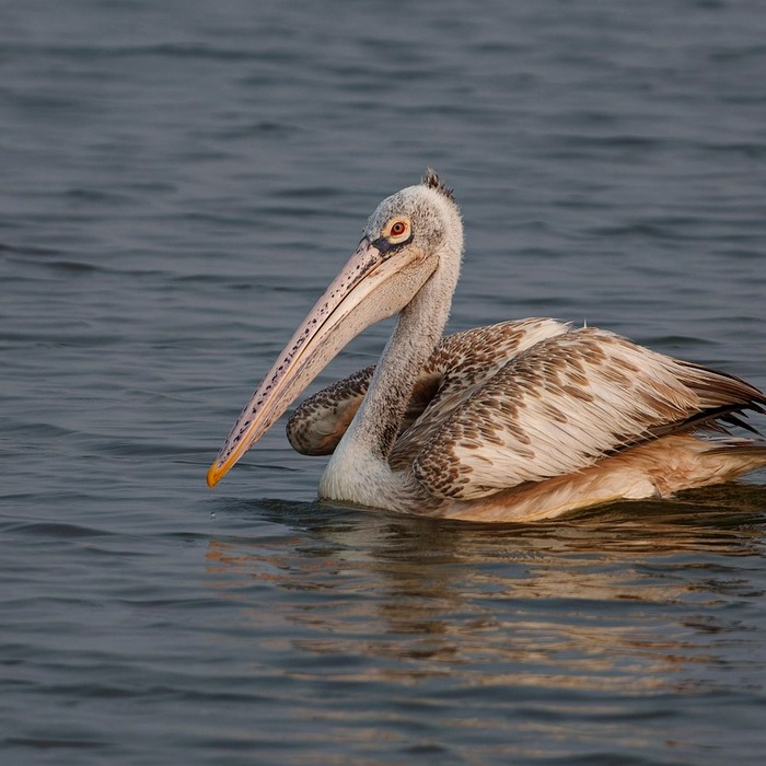 보험금 청구 절차