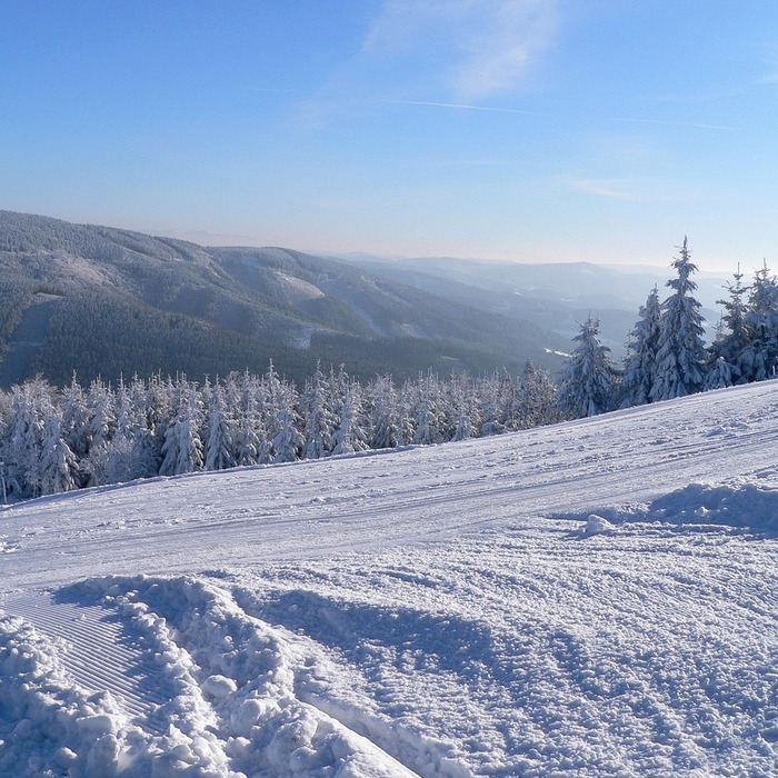 비발디파크 스키장
