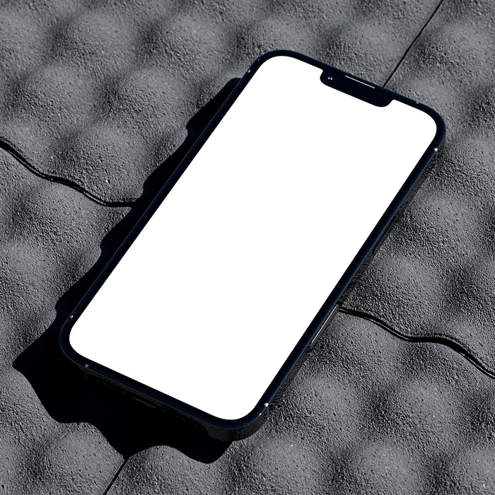 결과 확인 화면