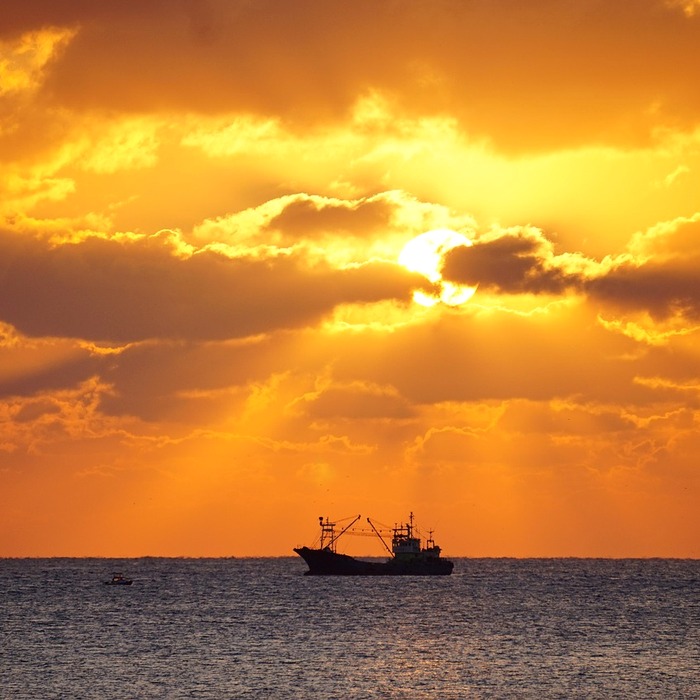 서귀포 칠십리축제