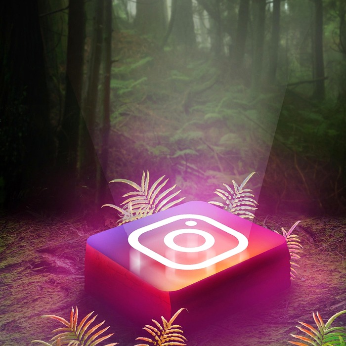 인스타그램 활동 제한