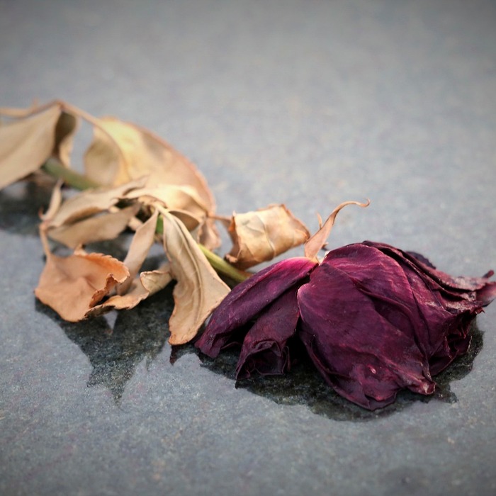 왼쪽 아랫배 통증 원인