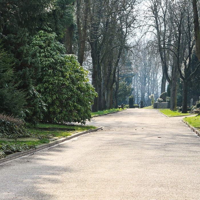신탄진휴게소 한우국밥