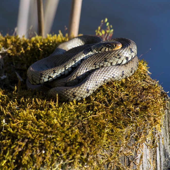 문화상품권 종류