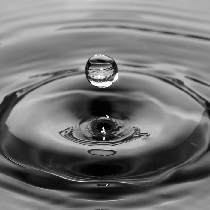 리플 시세 급락