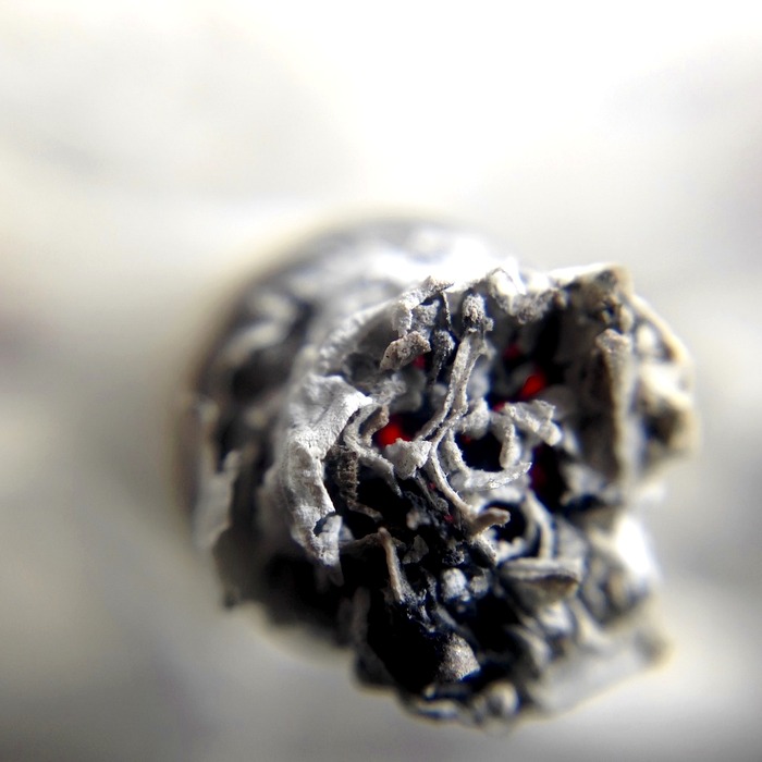 대한주택임대인협회