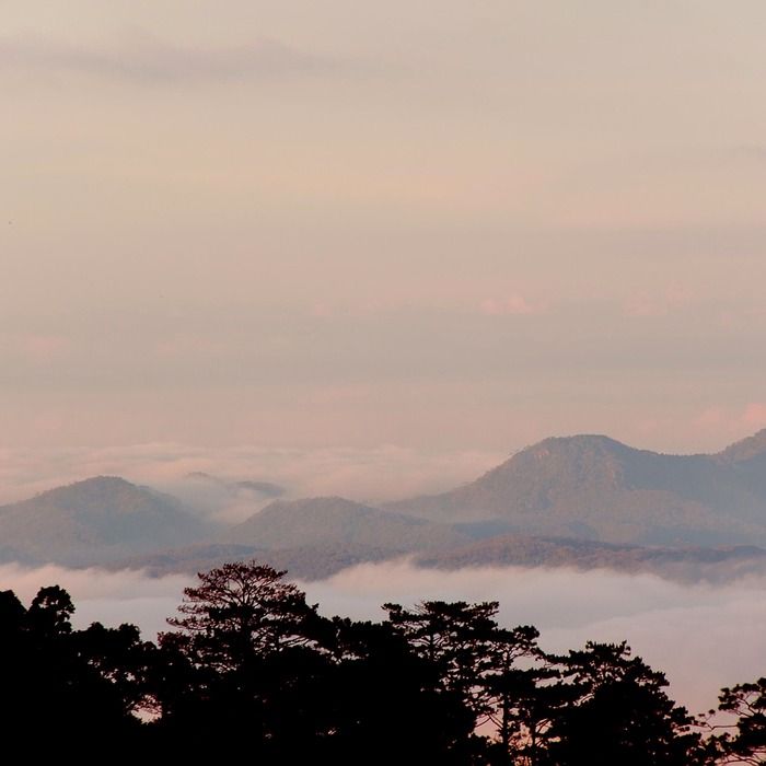 저녁 운동 효과