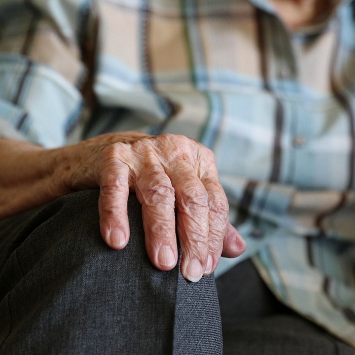 배추 수령 날짜