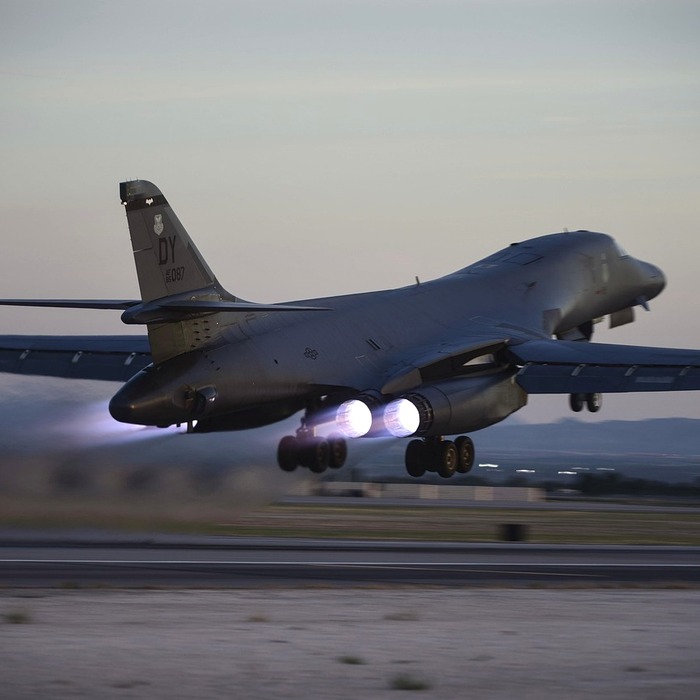 넬리 코다 경기력