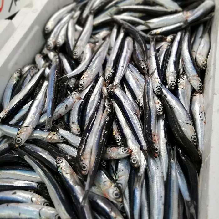 멸치 볶는 과정