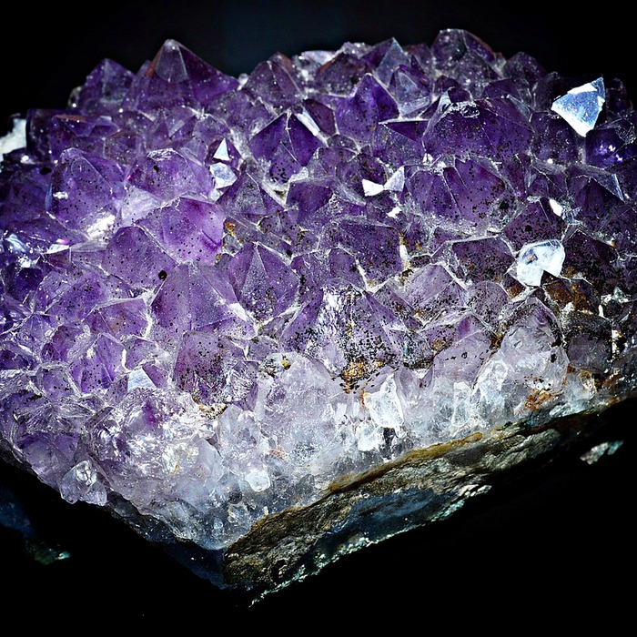 비타민과 미네랄