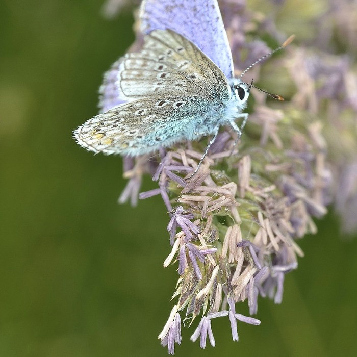게임 버그 원인