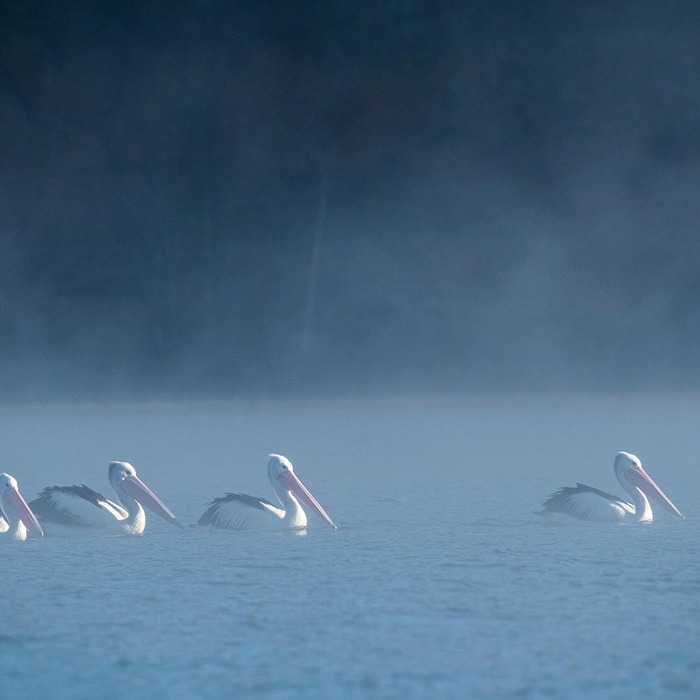 체증식 분할 상환