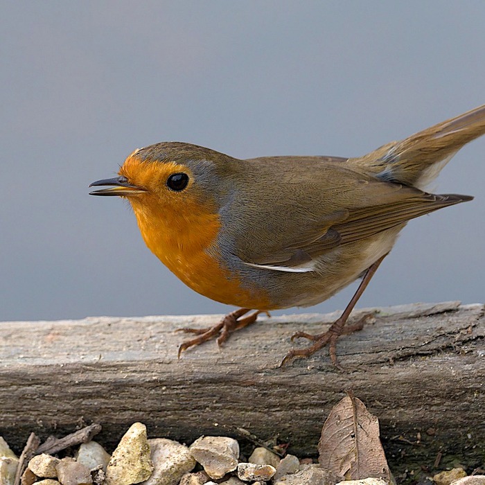 눈의 피로 감소