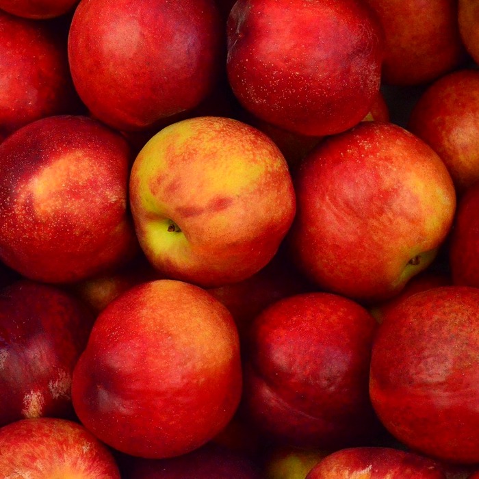 소화 잘 되는 음식