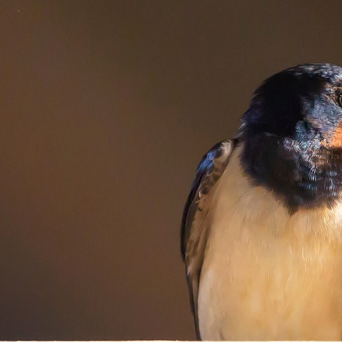 부모 휴식 공간