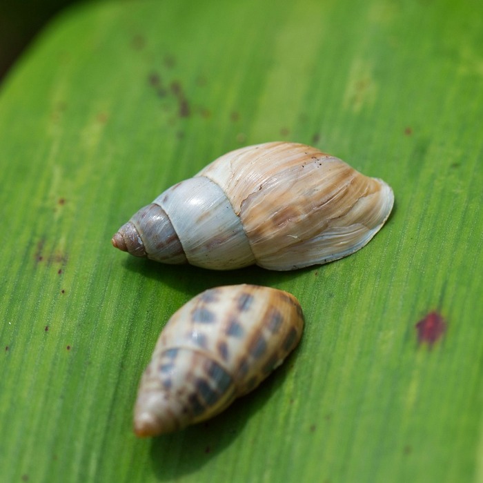 충전 속도 저하
